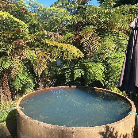 Whare&Geothermal Pool By Lake Taupo Turangi Dış mekan fotoğraf