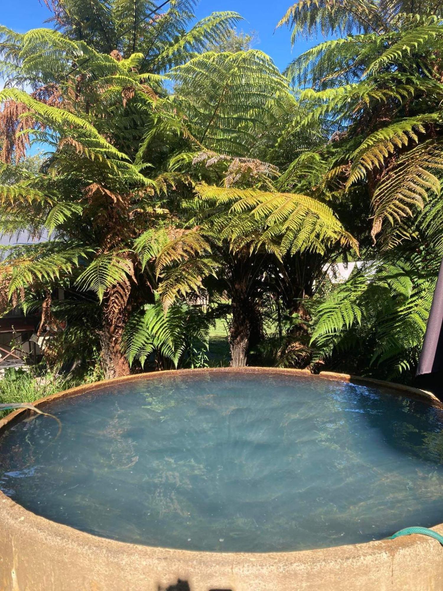 Whare&Geothermal Pool By Lake Taupo Turangi Dış mekan fotoğraf