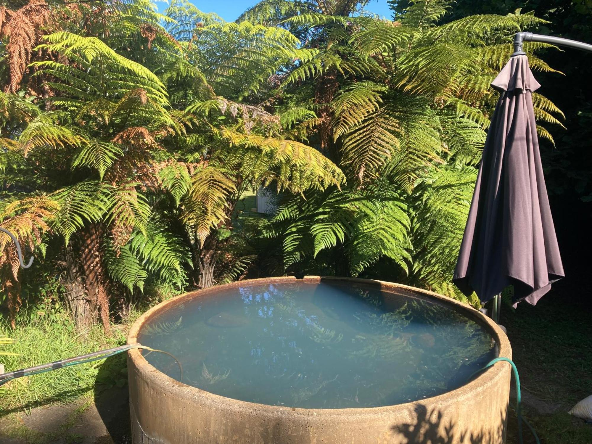 Whare&Geothermal Pool By Lake Taupo Turangi Dış mekan fotoğraf